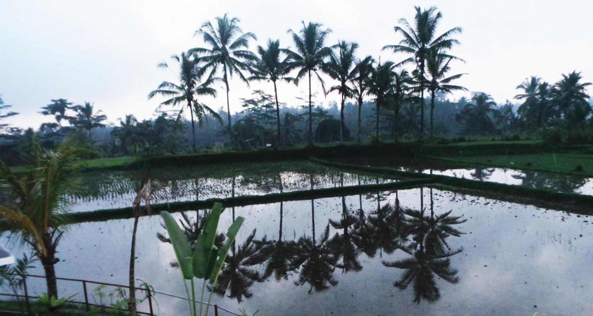 Villa Kemuning Tegallalang  Zimmer foto