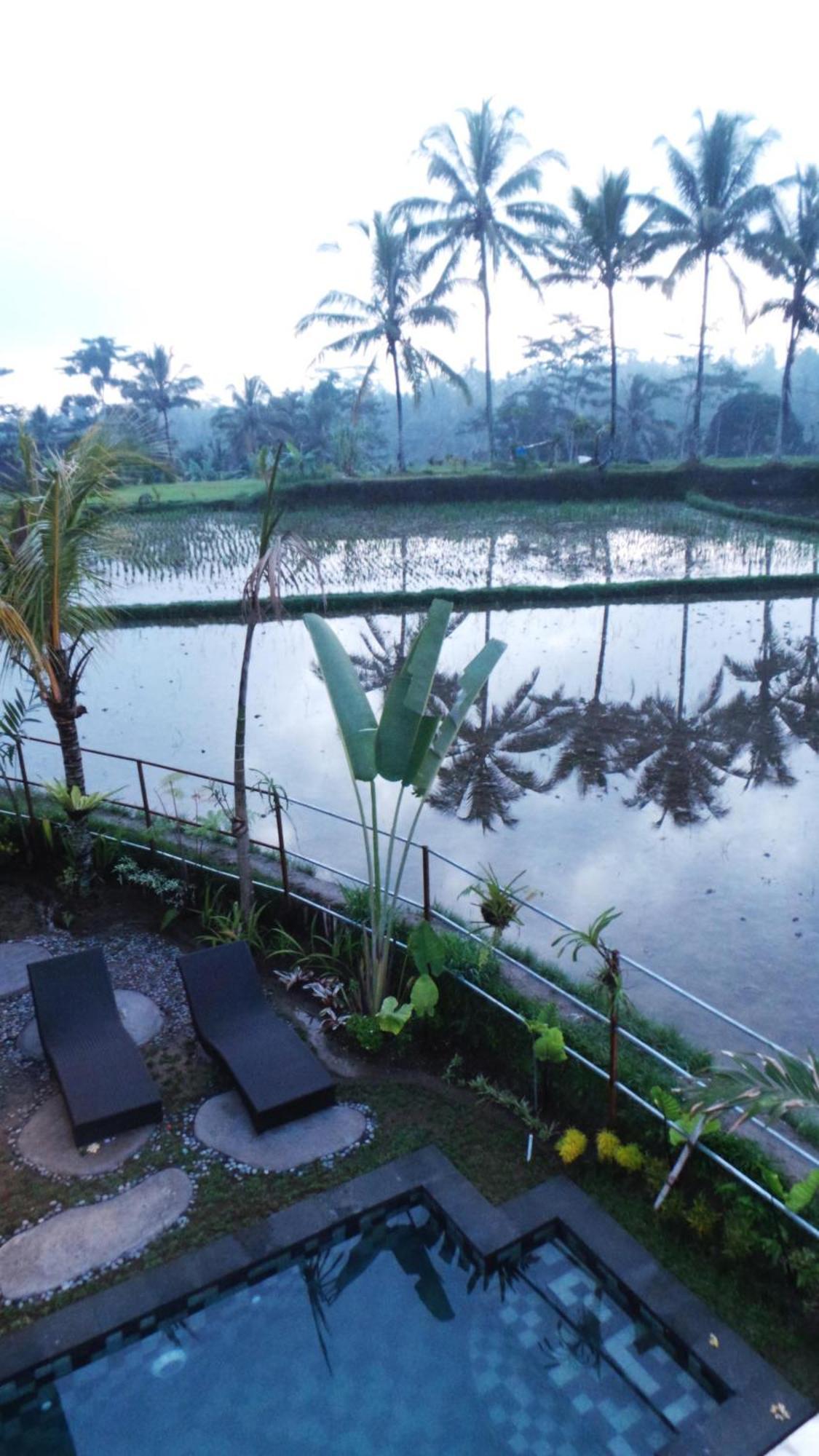 Villa Kemuning Tegallalang  Zimmer foto